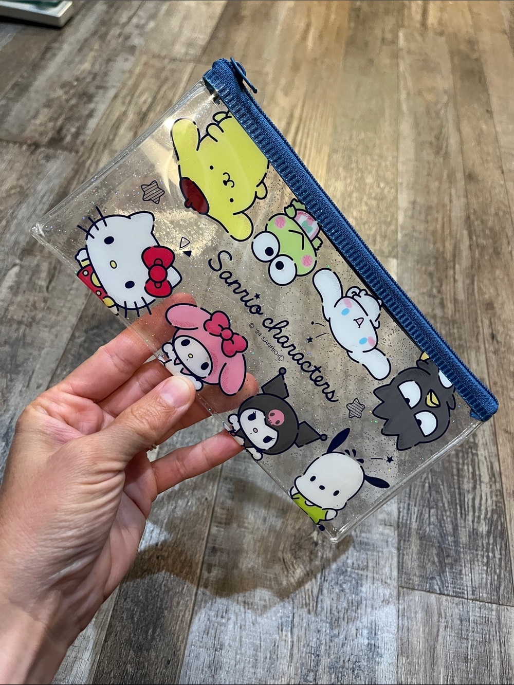 Sanrio Glitter Character Pencil Case with Blue Zipper